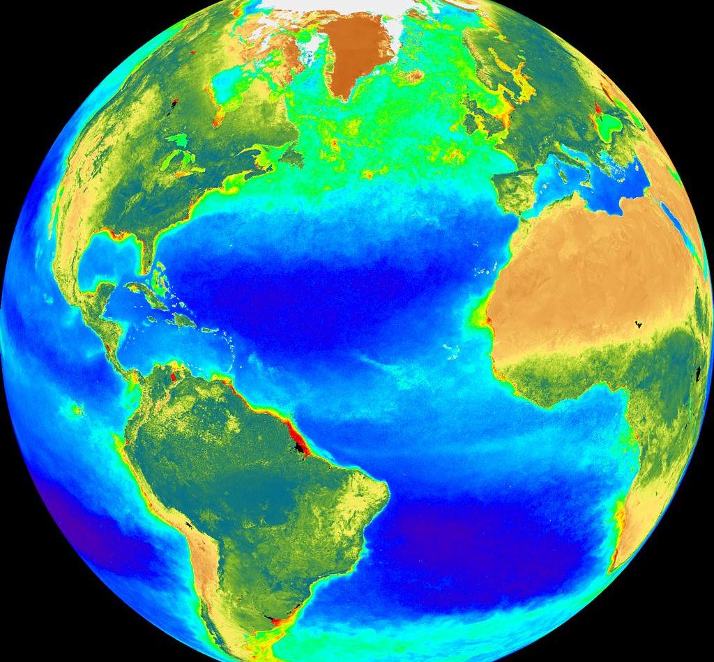 Phytoplankton blooms
                (provided by the SeaWiFS Project, NASA/Goddard Space
                Flight Center and ORBIMAGE)