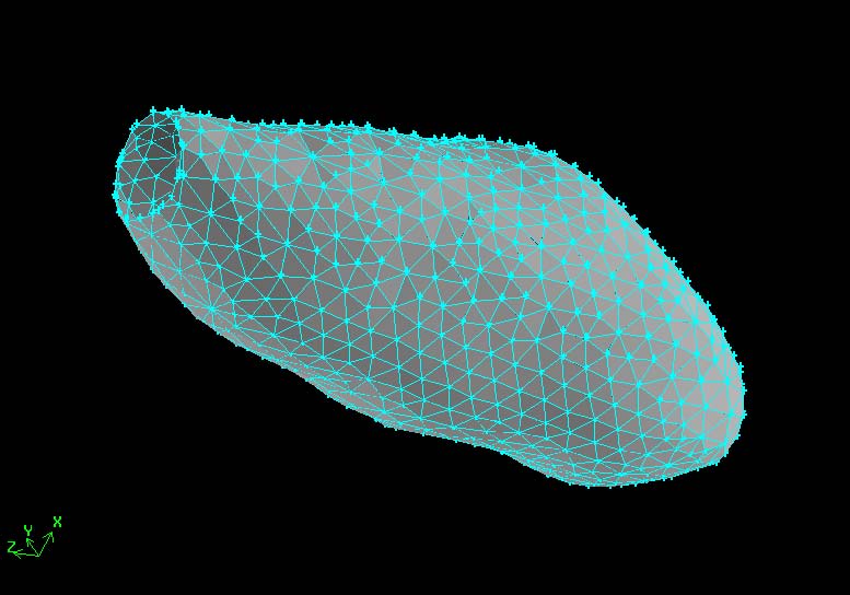 Anatomy of human gallbladder (GB) (left), An ellipsoid GB model before